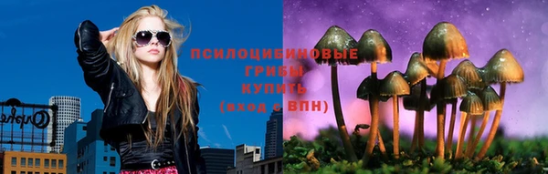 a pvp Богородицк