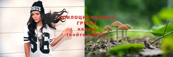 прущий лед Богородск