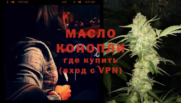apvp Бородино