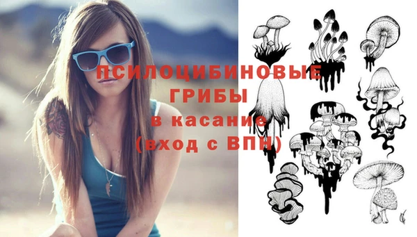 apvp Бородино