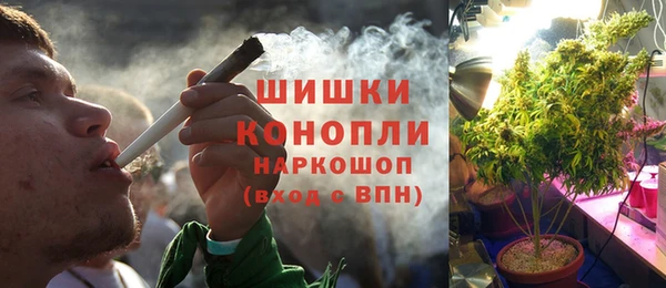 стаф Бронницы