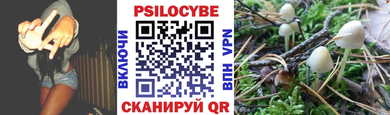Псилоцибиновые грибы мухоморы  дарнет шоп  гидра онион  Мышкин 
